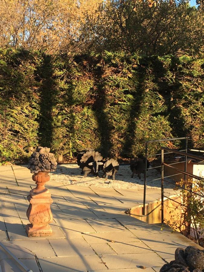 Le Bois De La Cour Villa Roussillon en Isere Exteriör bild